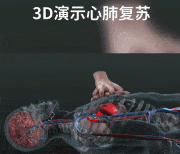 C_compressed.gif C_compressed.gif